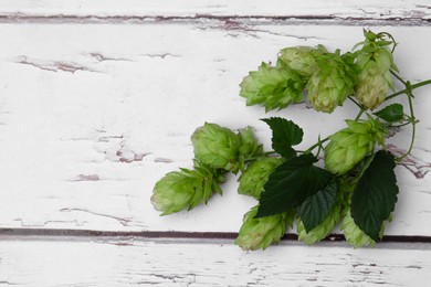 Photo of Branch with fresh hops and leaves on white wooden table, top view. Space for text