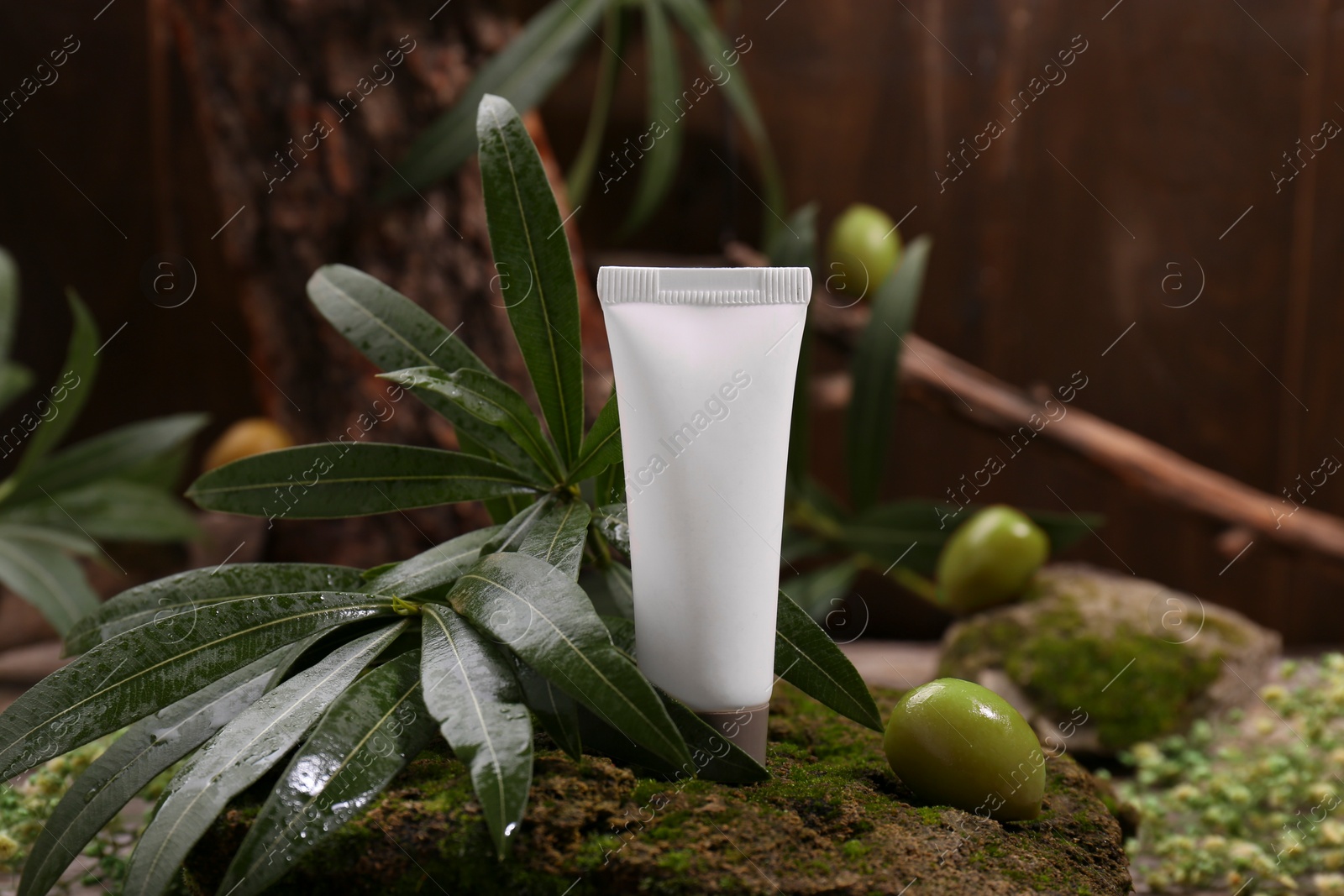 Photo of Tube of cream, olives and leaves on stone with moss