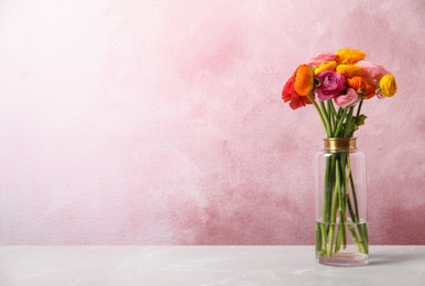 Photo of Beautiful fresh ranunculus flowers in vase on white table near color wall, space for text