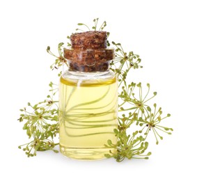 Photo of Bottle of essential oil and fresh dill isolated on white