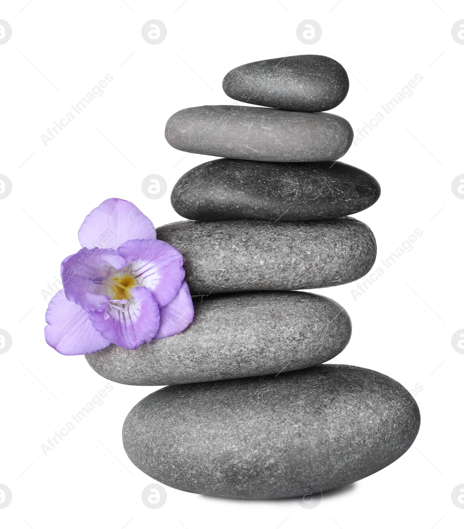 Photo of Stack of grey spa stones and fresh flower isolated on white