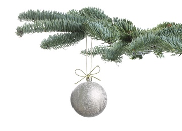 Photo of Beautiful Christmas ball hanging on fir tree branch against white background