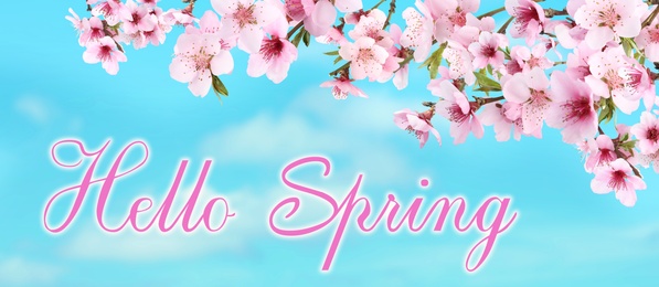 Hello Spring. Tree branches with beautiful flowers outdoors, banner design