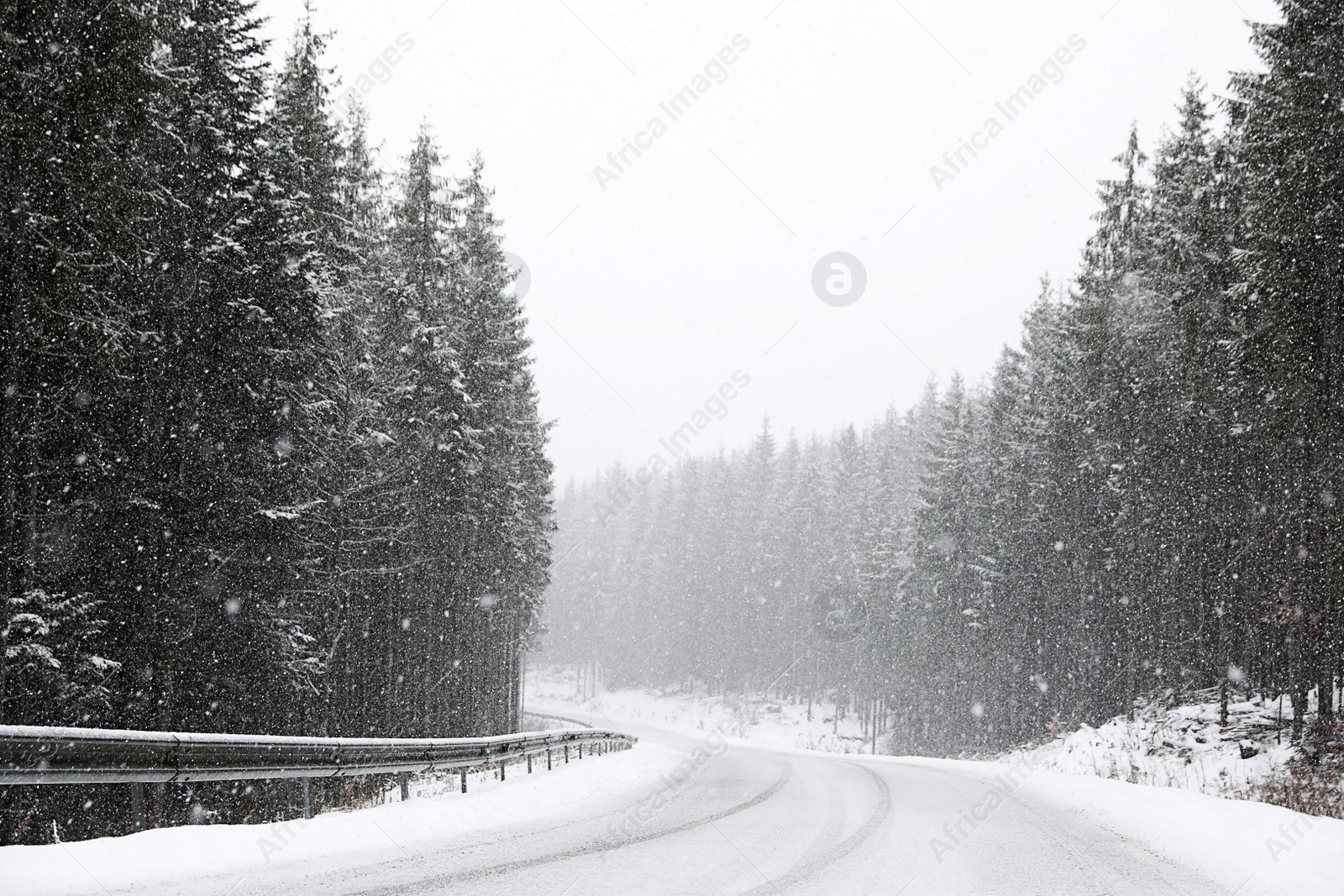 Photo of Beautiful landscape with conifer forest and road on snowy winter day