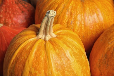 Photo of Many orange pumpkins as background, closeup. Autumn holidays