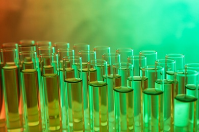 Photo of Closeup view of many test tubes with liquid, color tone effect