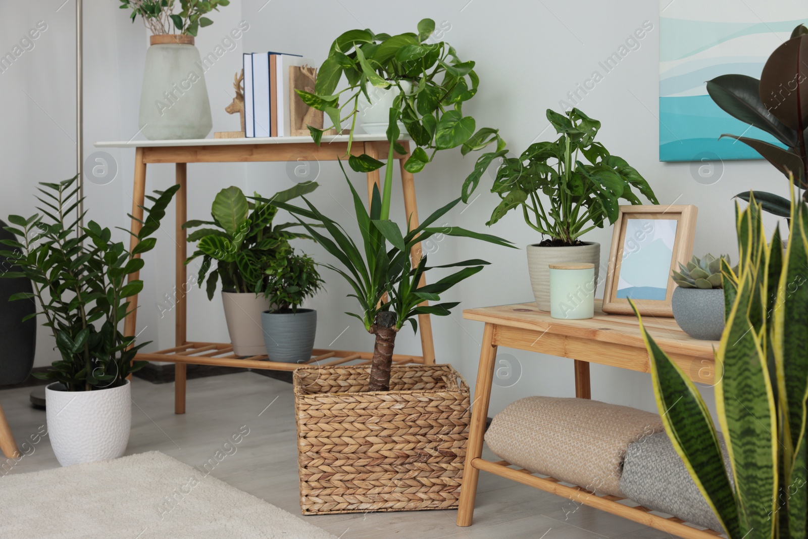 Photo of Beautiful room interior with green houseplants and wooden furniture