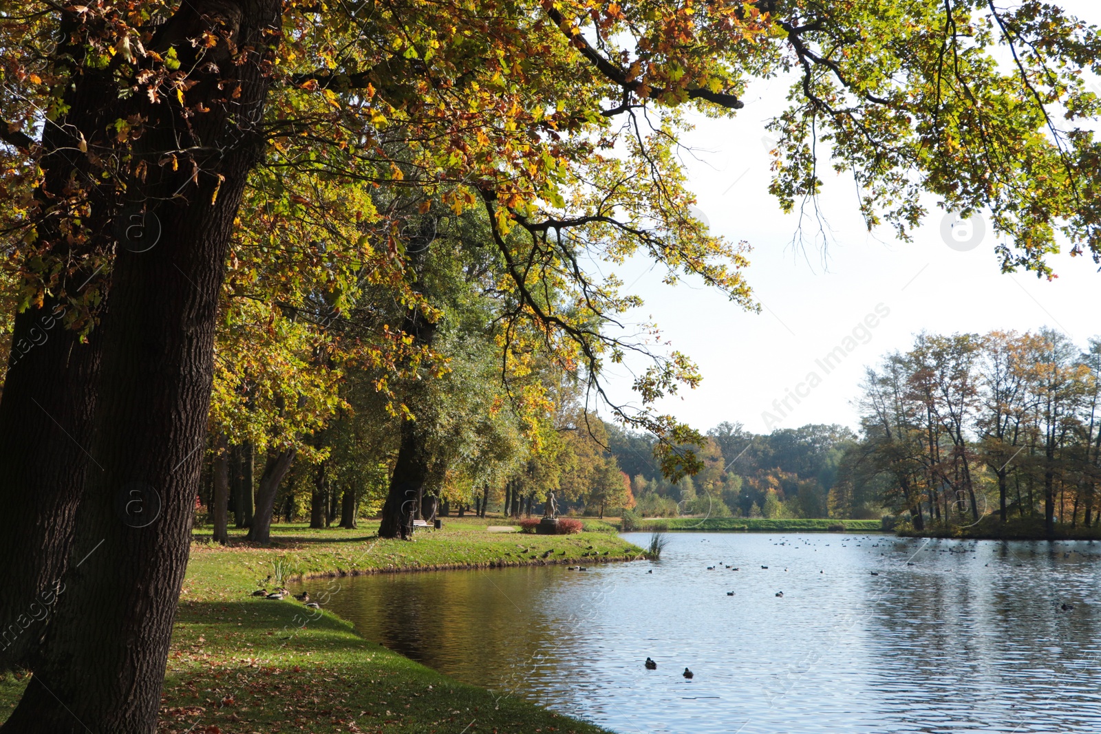 Photo of Picturesque view of park with beautiful trees and lake. Autumn season