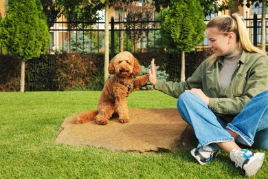 Photo of Cute dog giving high five to woman on green grass in park