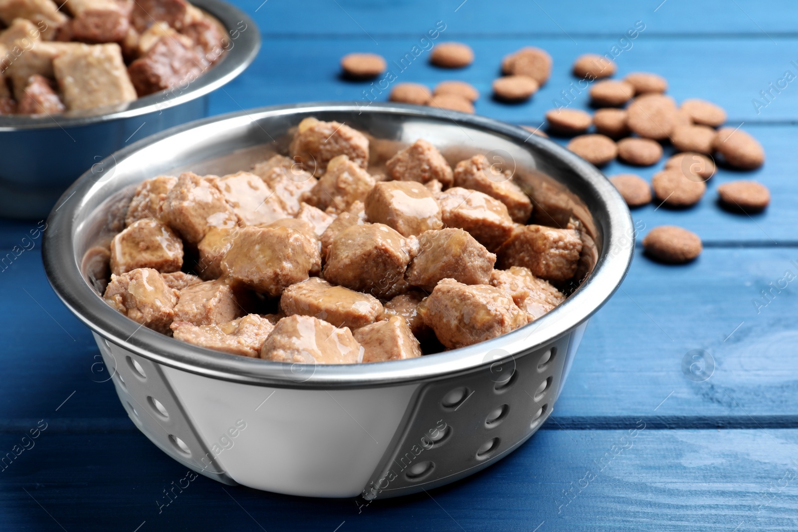 Photo of Wet pet food in feeding bowl on blue wooden table, closeup