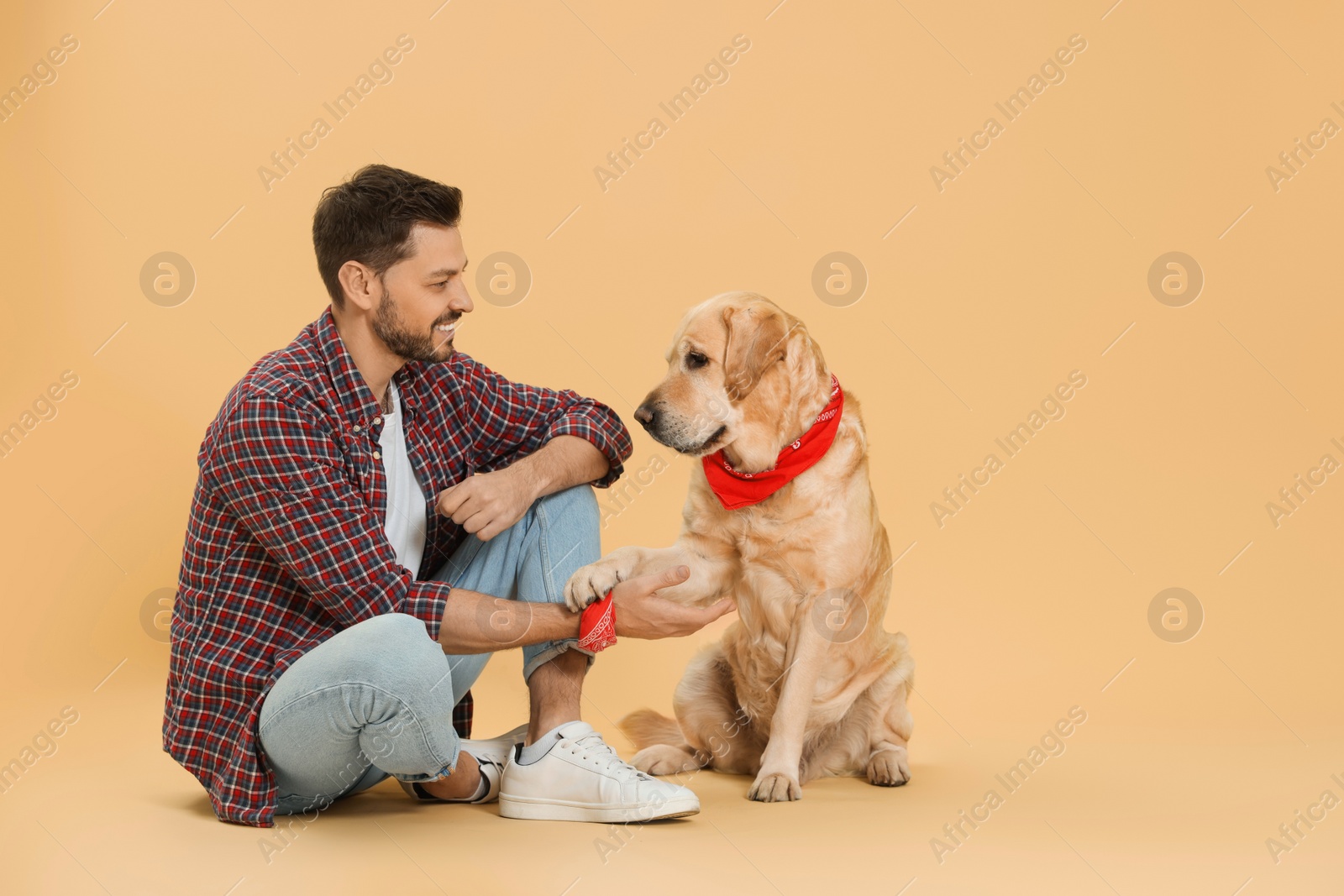 Photo of Cute Labrador Retriever giving paw to man on beige background