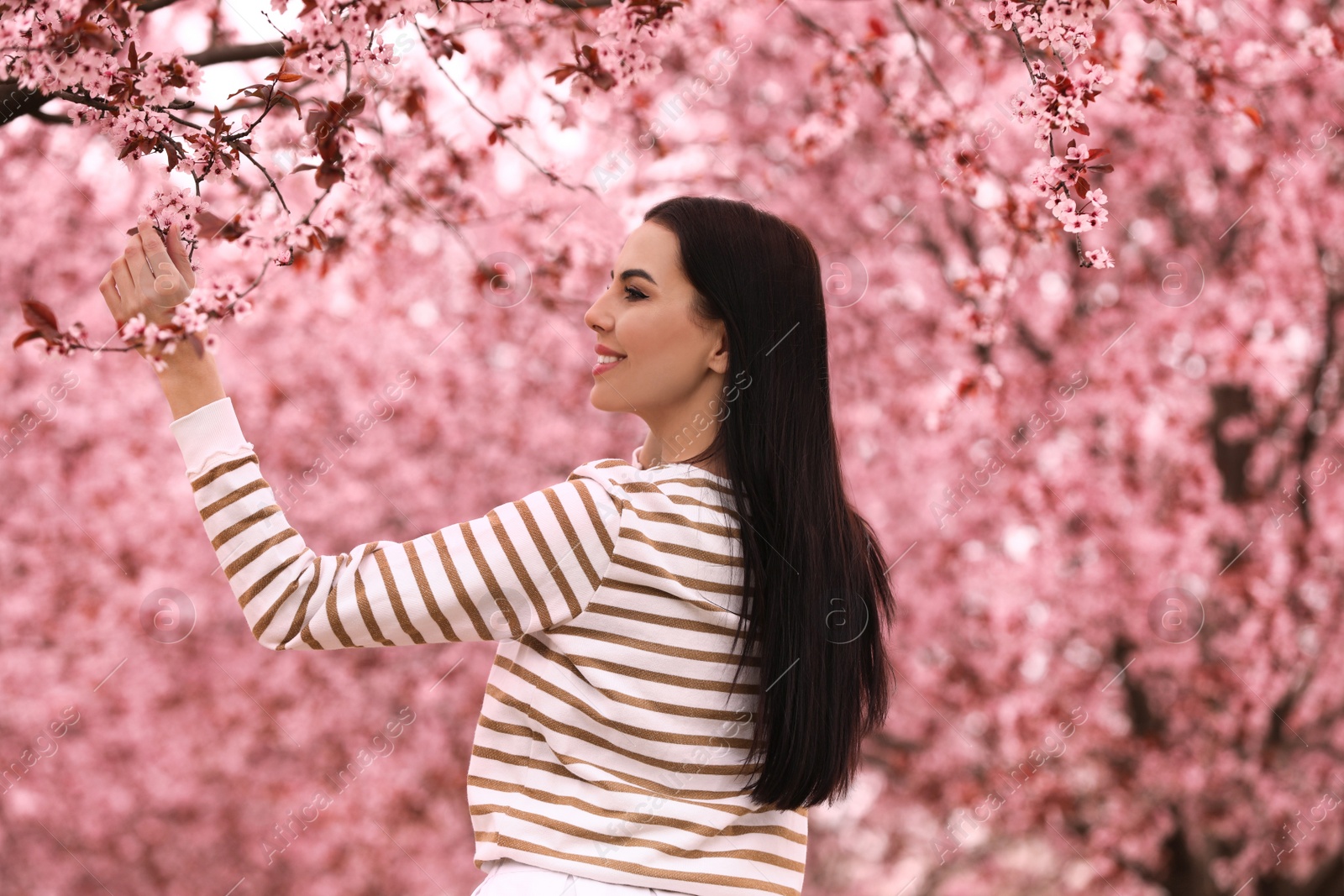 Photo of Pretty young woman in park with blooming trees. Spring look