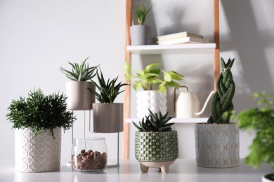 Photo of Beautiful potted houseplants on white table indoors