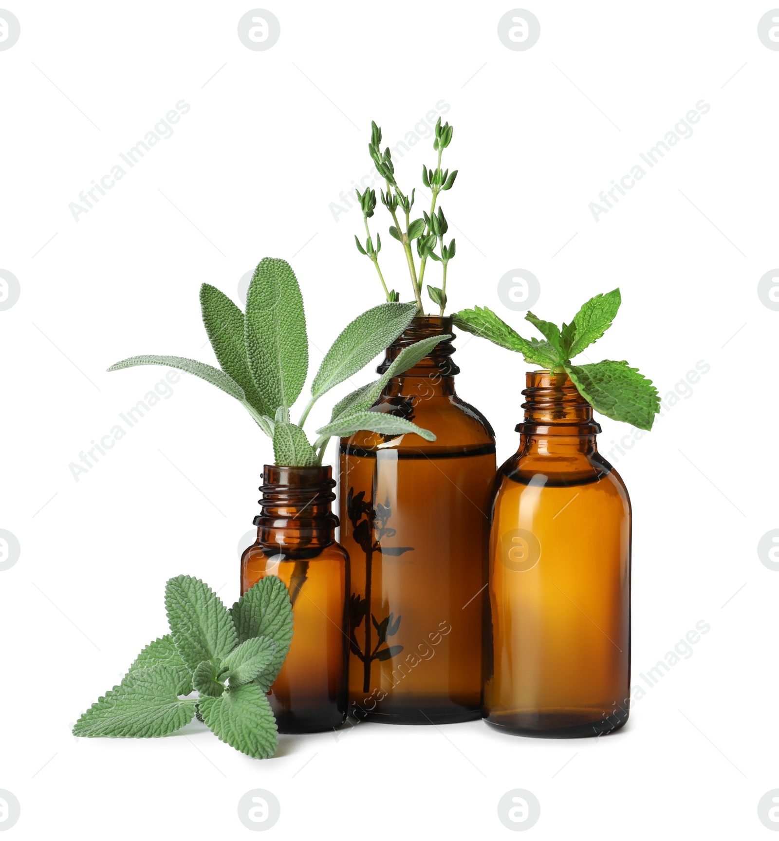 Photo of Bottle of essential oil and fresh herbs isolated on white