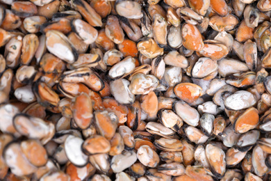 Photo of Fresh raw mussels as background, top view. Wholesale market