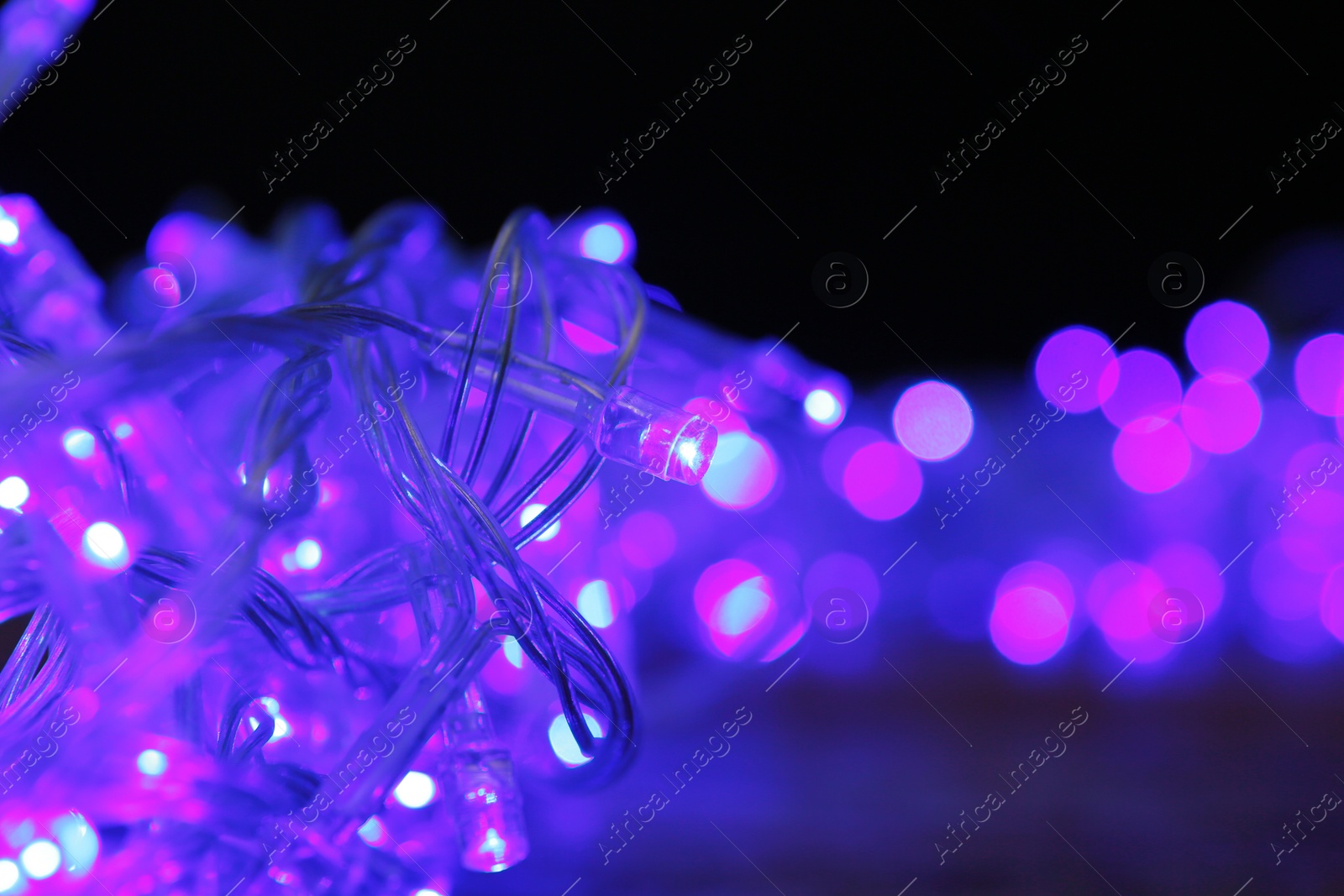 Photo of Blue Christmas lights on dark background, closeup view