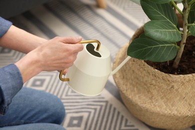 Photo of Woman watering beautiful potted houseplant, closeup view
