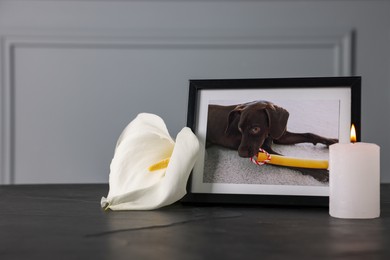 Photo of Frame with picture of dog, burning candles and calla flower on black table. Pet funeral