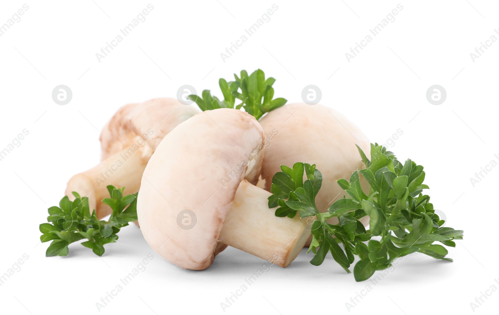 Photo of Green fresh parsley with mushrooms on white background