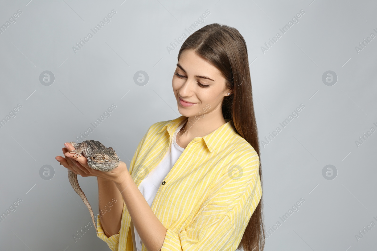 Photo of Woman holding bearded lizard on grey background. Exotic pet