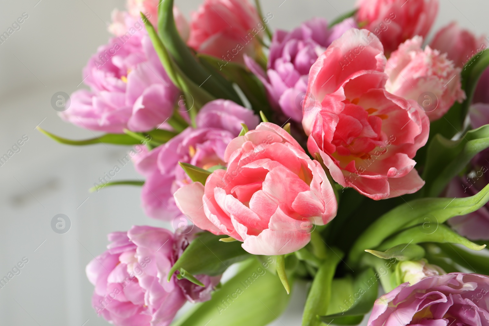 Photo of Beautiful bouquet of colorful tulip flowers on blurred background, closeup