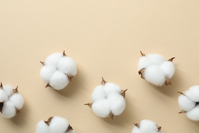 Photo of Fluffy cotton flowers on beige background, flat lay. Space for text