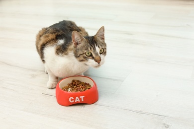 Photo of Cute cat eating dry food from bowl on floor at home