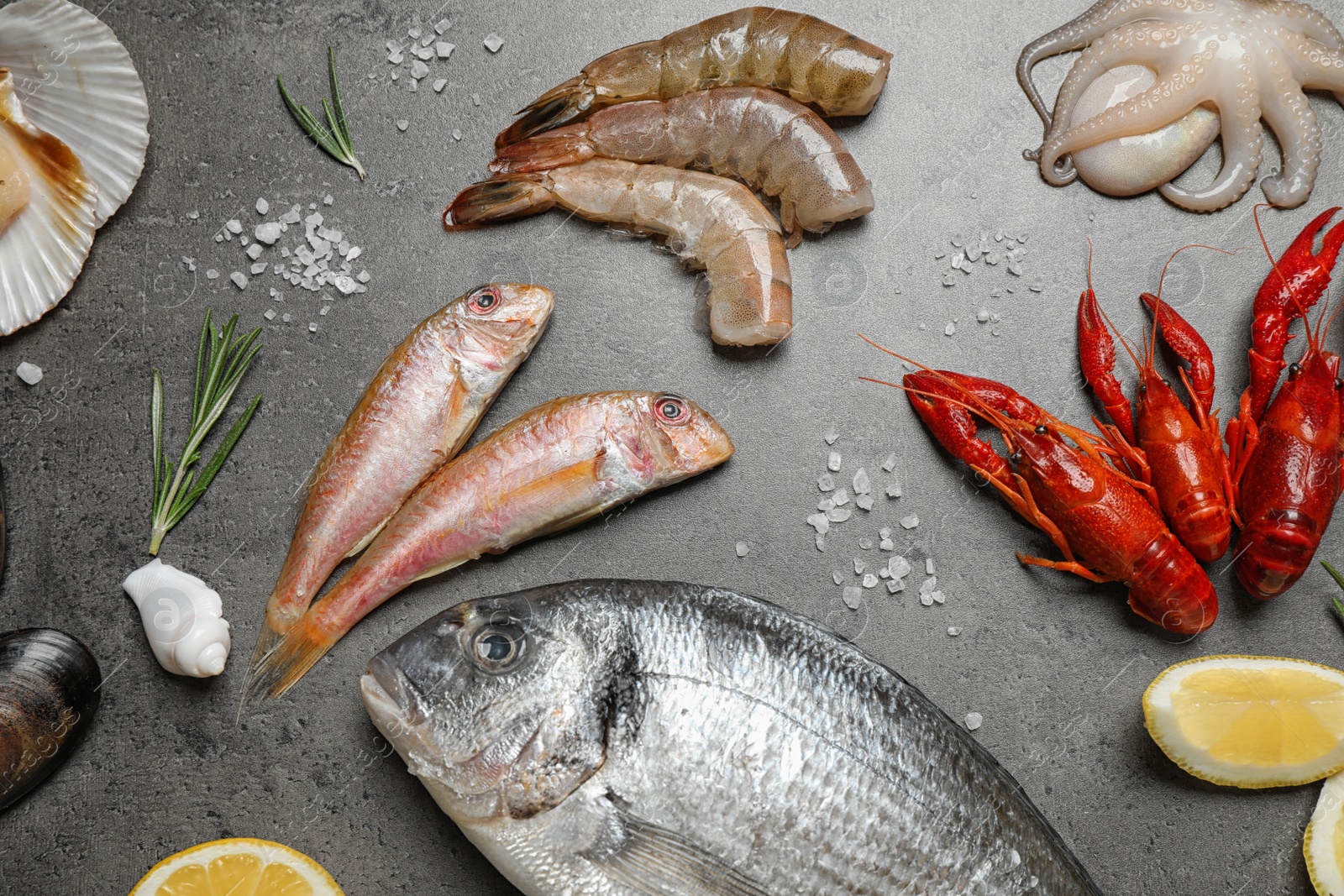 Photo of Fresh fish and seafood on grey table, flat lay