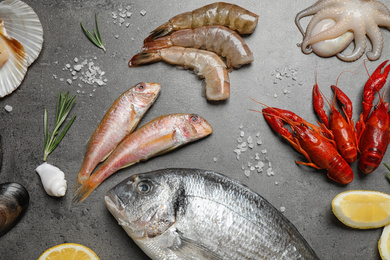 Fresh fish and seafood on grey table, flat lay