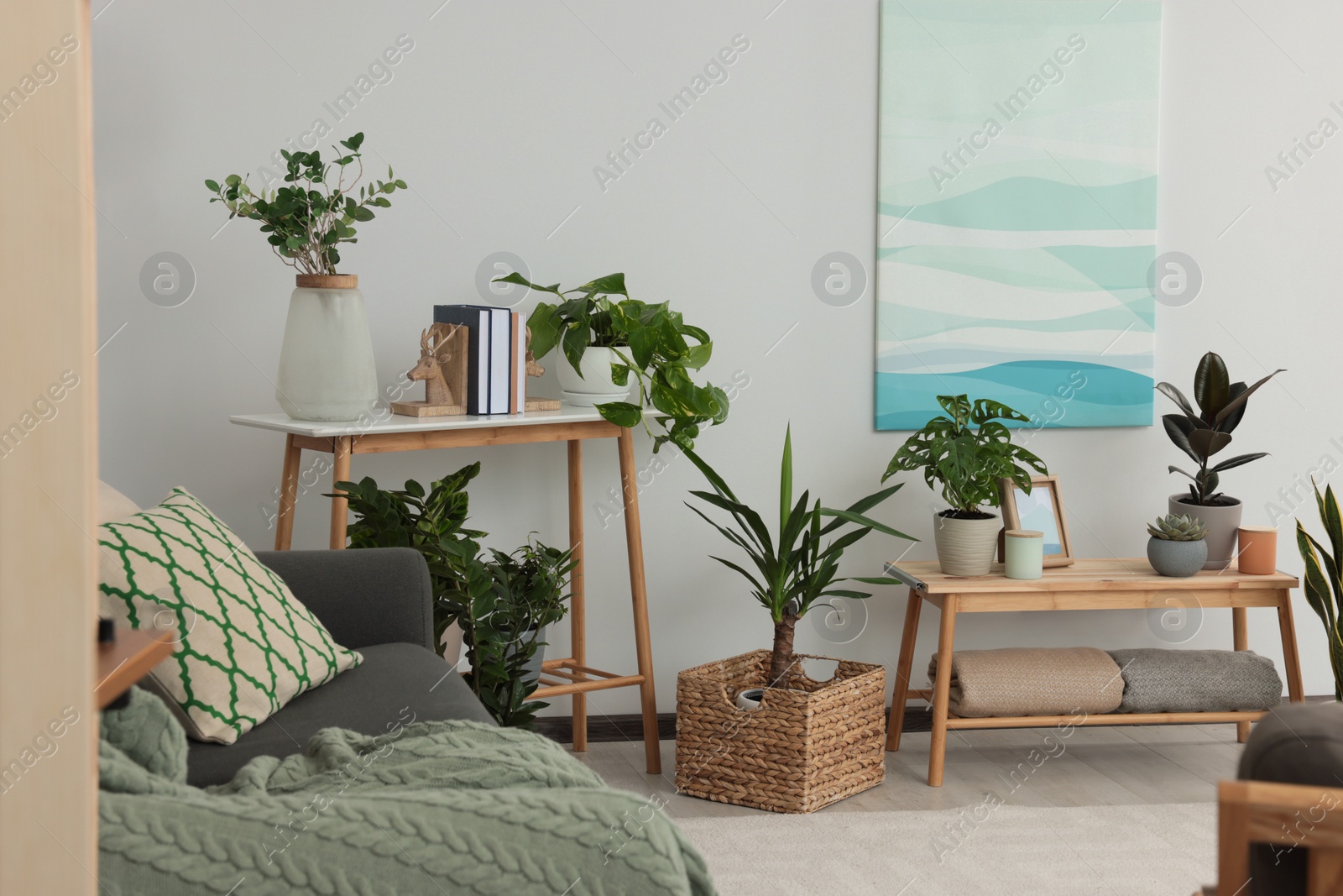 Photo of Beautiful living room interior with green houseplants and comfortable furniture