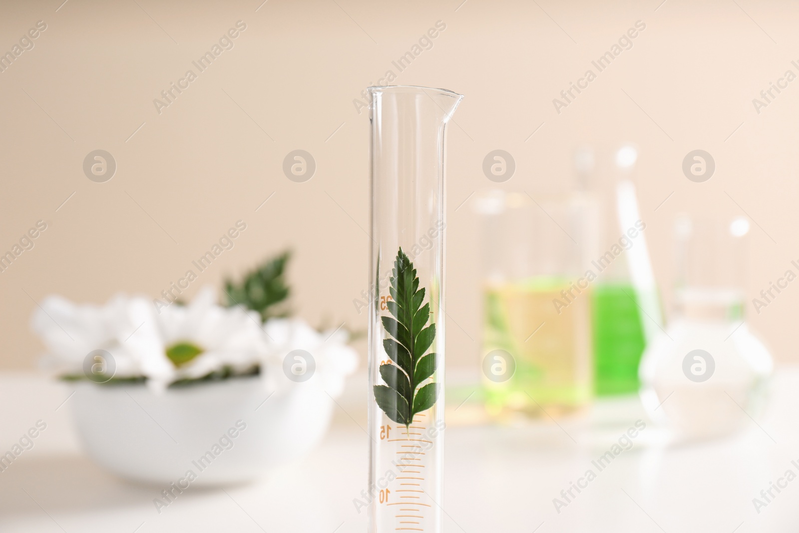 Photo of Graduated cylinder with leaf on table. Dermatology equipment