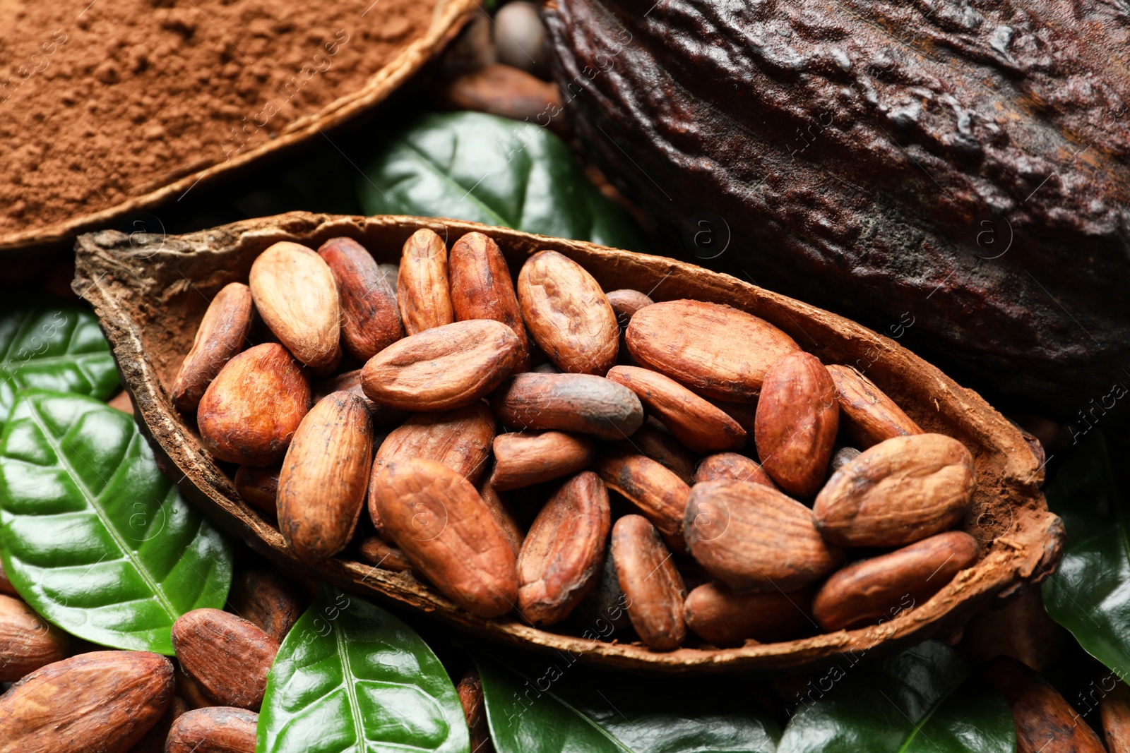 Photo of Cocoa pod with beans and leaves, closeup