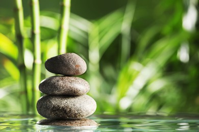 Photo of Stacked stones on water surface against bamboo stems and green leaves. Space for text
