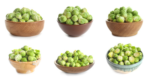 Set of fresh Brussels sprouts in bowls on white background. Banner design