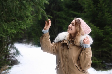 Young woman touching fir branch in snowy forest. Winter vacation