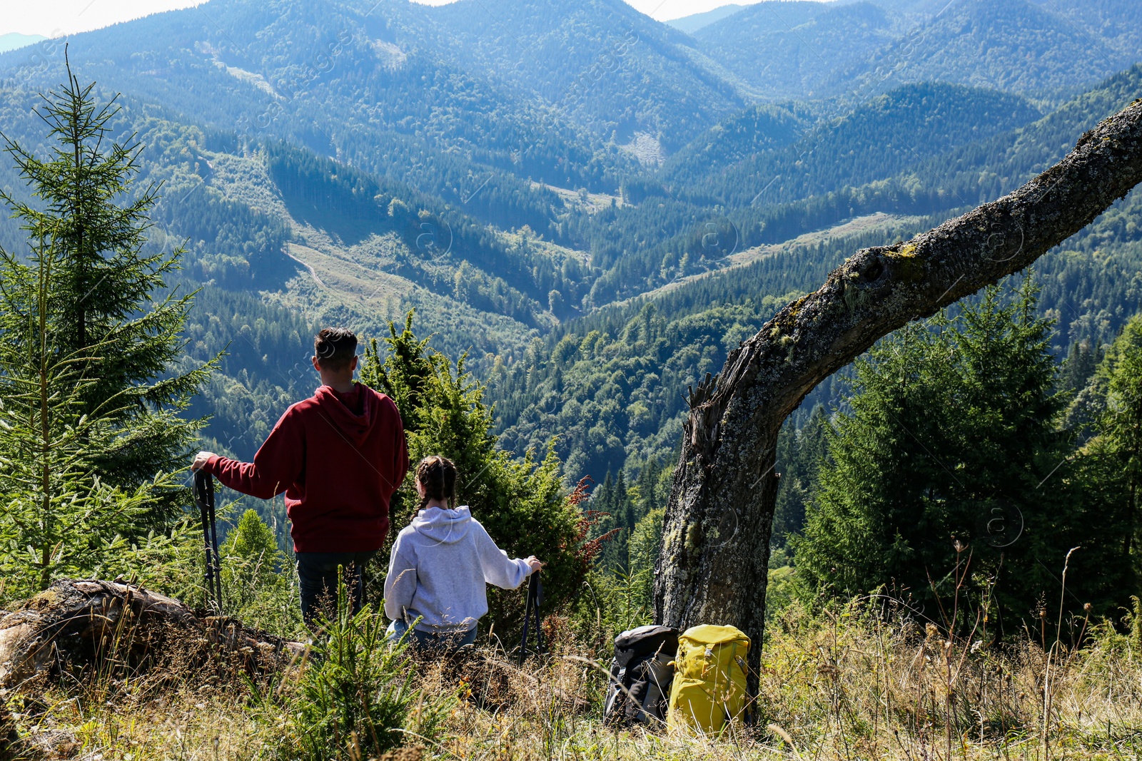 Photo of Tourists left their backpacks near tree during rest stop in mountains, back view