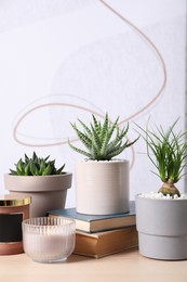 Photo of Beautiful Nolina, Aloe and Haworthia in pots with decor on wooden table. Different house plants