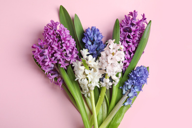 Photo of Beautiful spring hyacinth flowers on pink background, top view