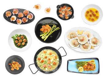 Image of Set with delicious fried scallops isolated on white, top view