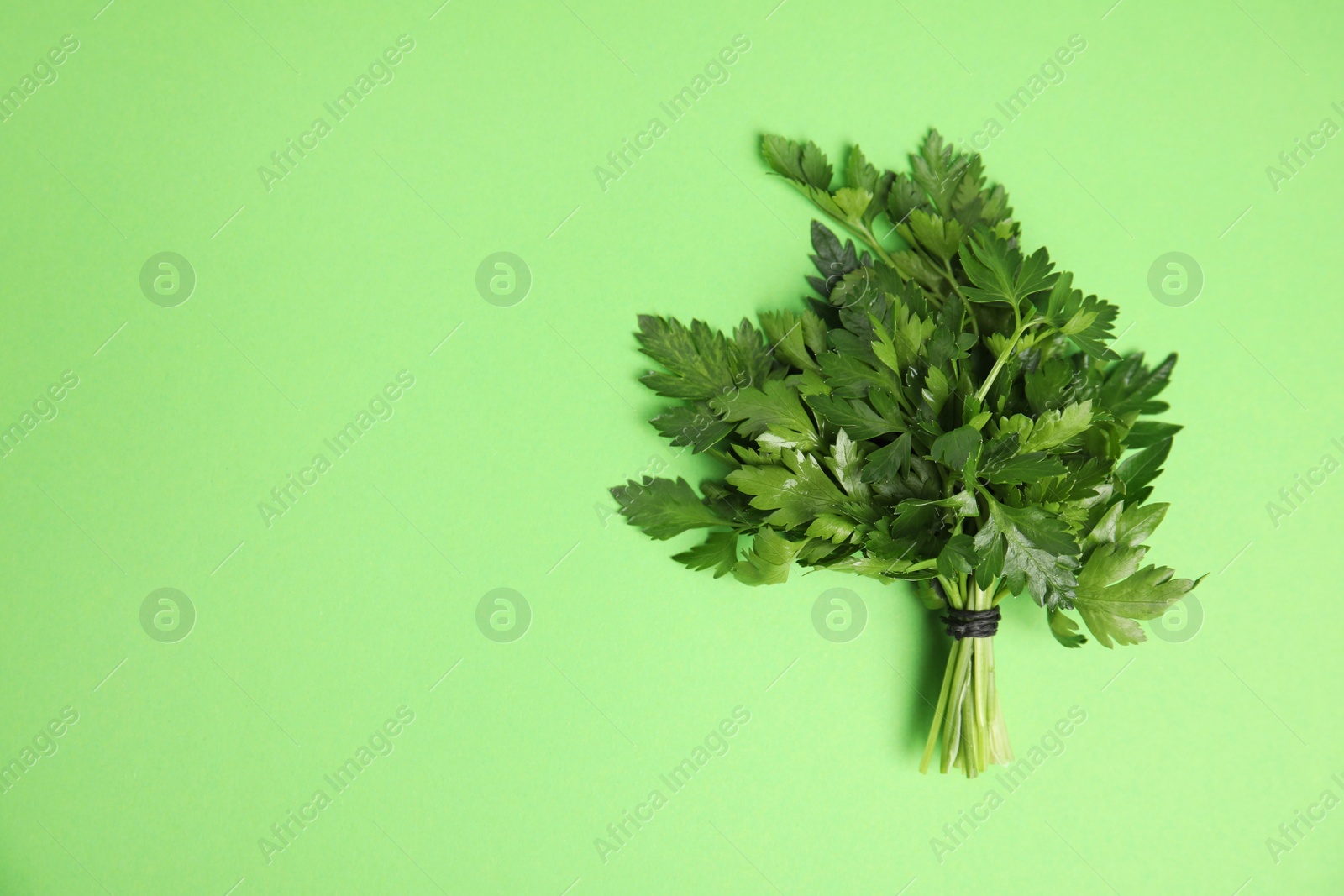 Photo of Bunch of fresh green parsley on color background, view from above. Space for text