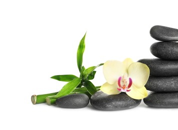 Photo of Spa stones, beautiful orchid flower and bamboo stems on white background