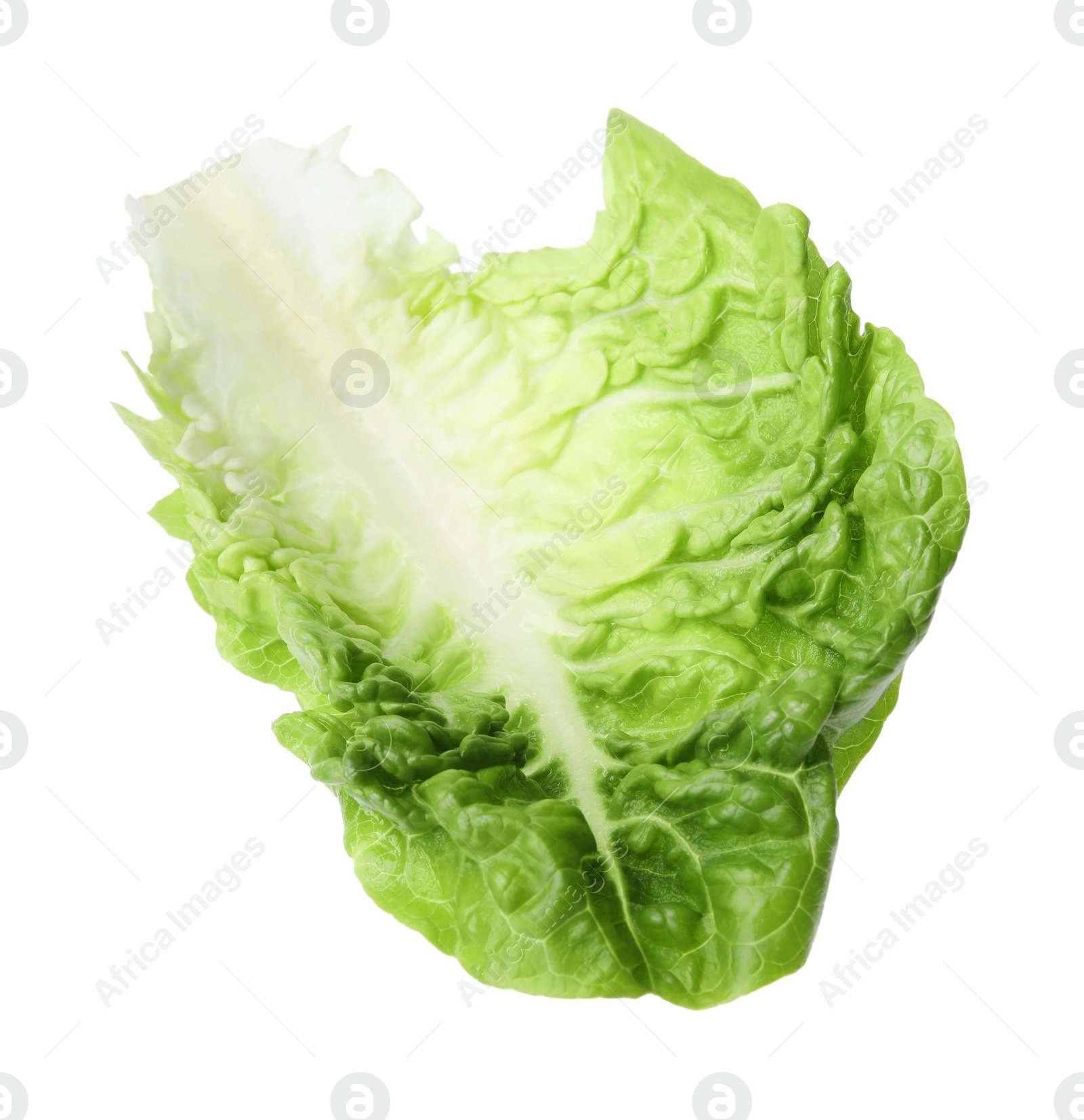 Photo of Fresh leaf of green romaine lettuce isolated on white