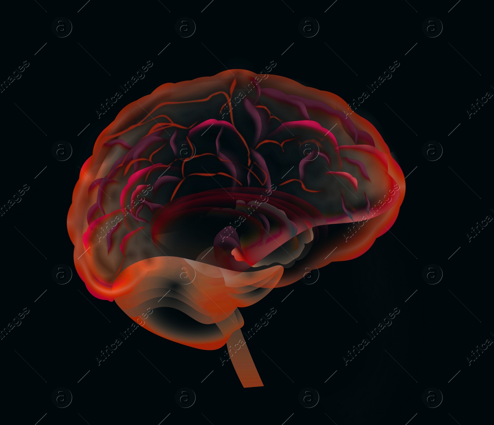 Illustration of  human brain on black background