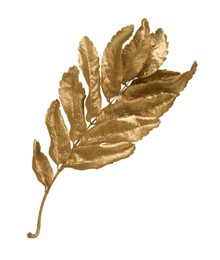 Twig of golden rowan leaves isolated on white. Autumn season