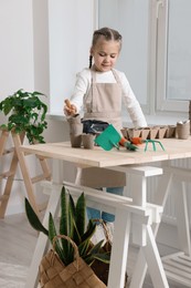 Little girl adding soil into peat pots at wooden table in room. Growing vegetable seeds