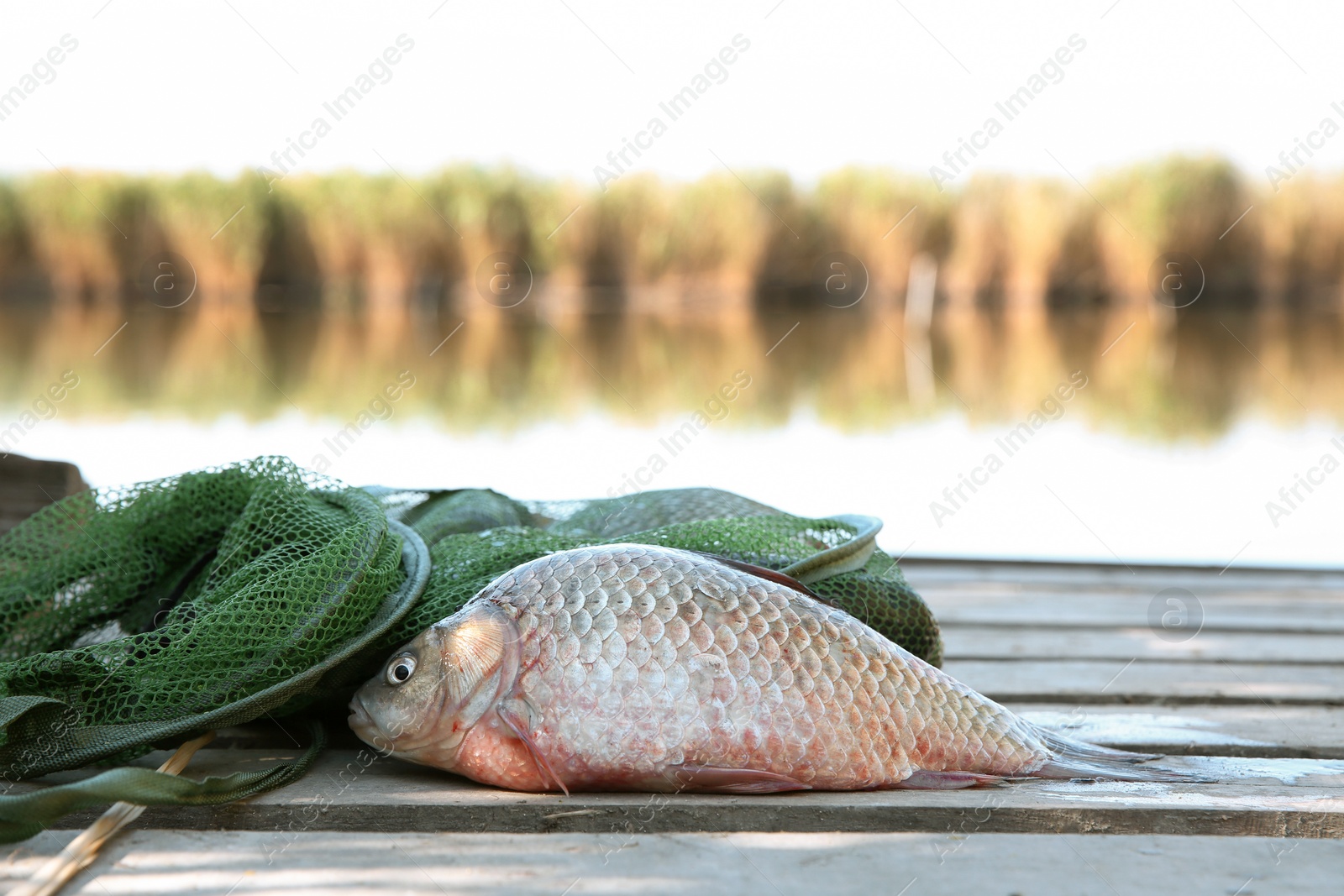 Photo of Fresh catch and fishing net on wooden pier at river