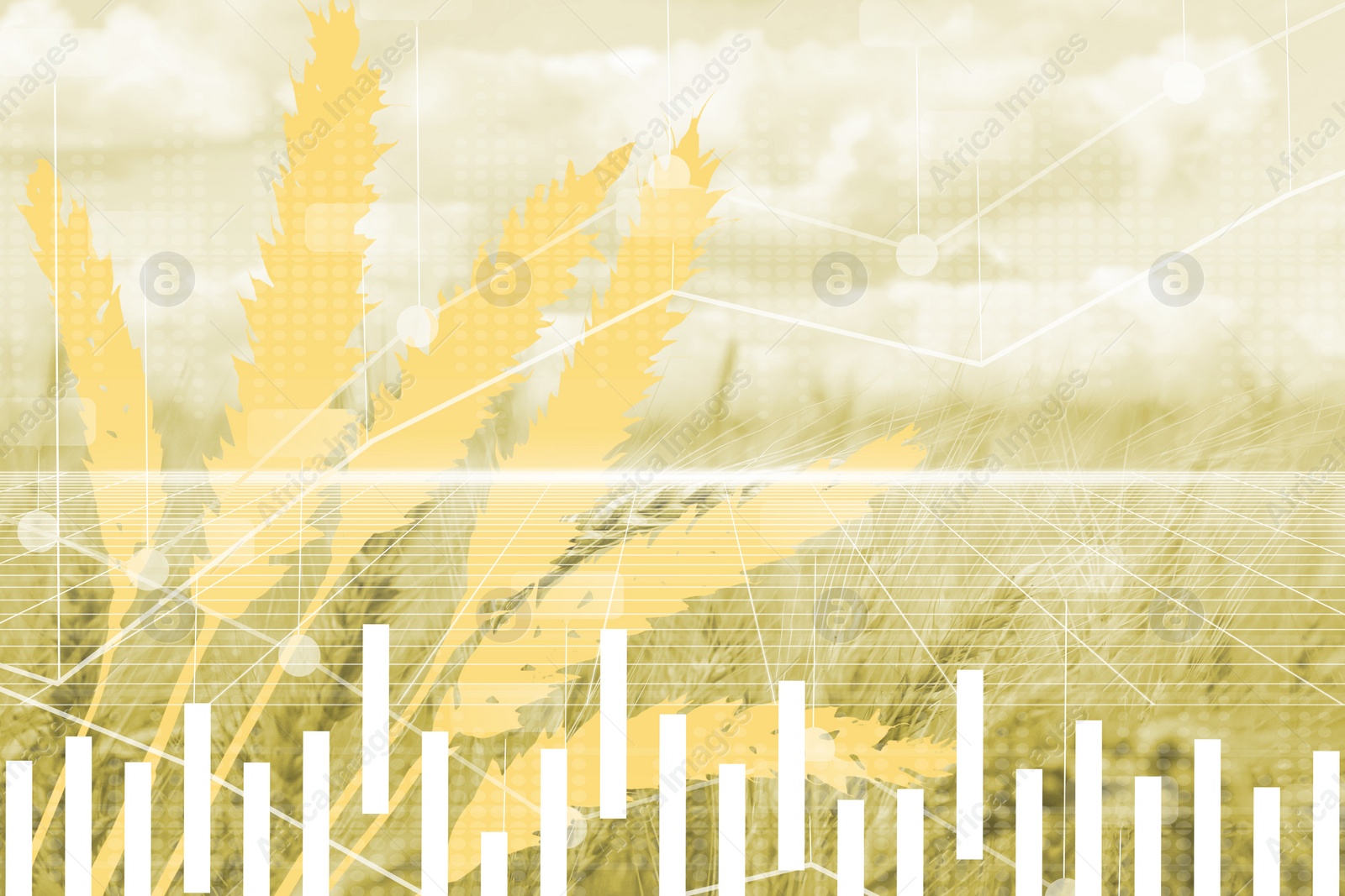 Image of Grain prices. Wheat field and graphs, double exposure