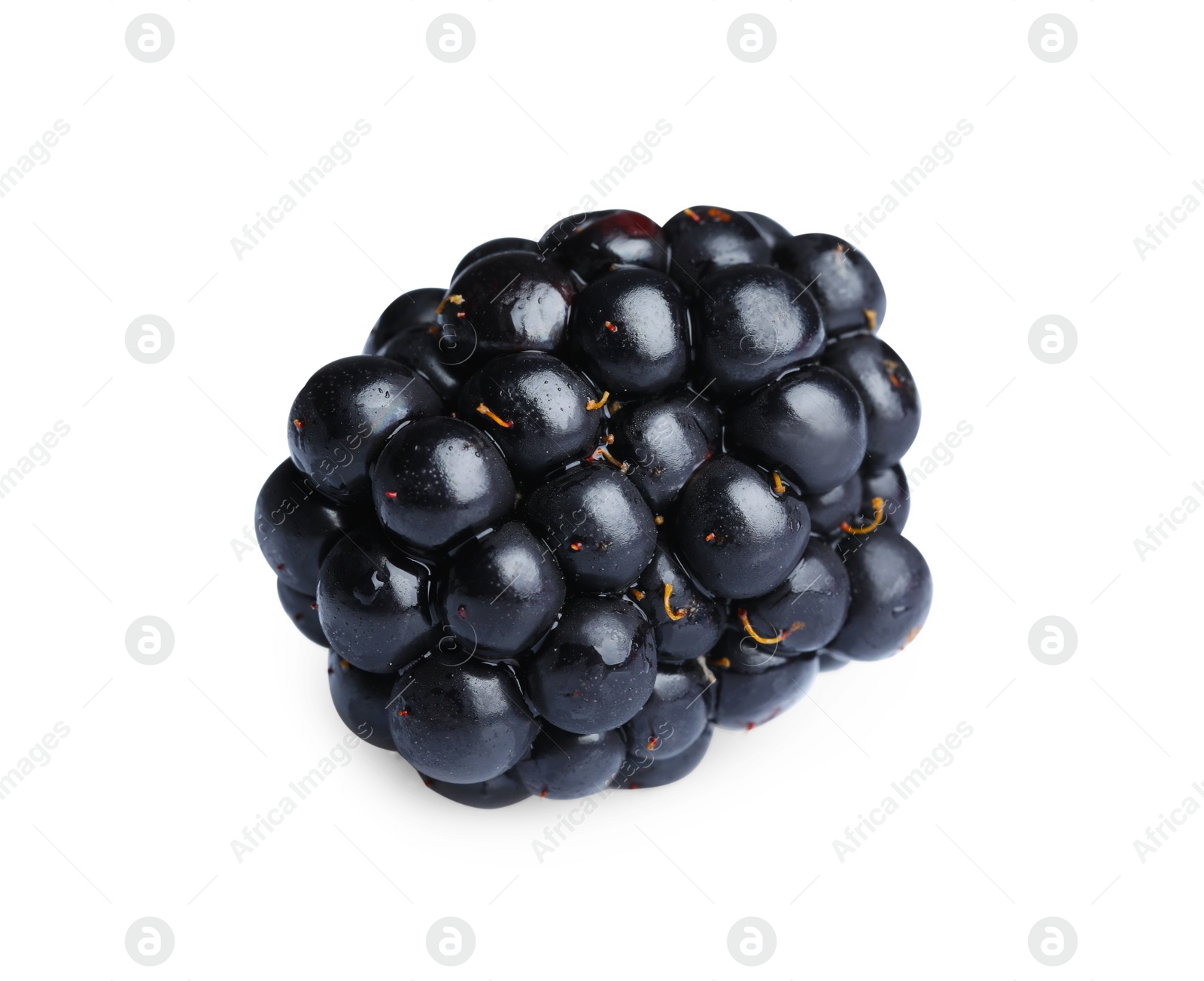 Photo of One tasty ripe blackberry isolated on white