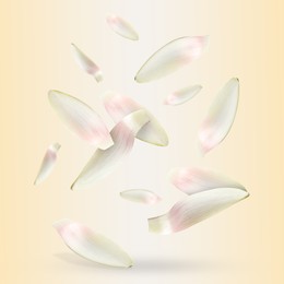 Image of White lotus flower petals falling on dark beige background