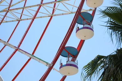 Photo of Beautiful large Ferris wheel and palm tree against blue sky, low angle view
